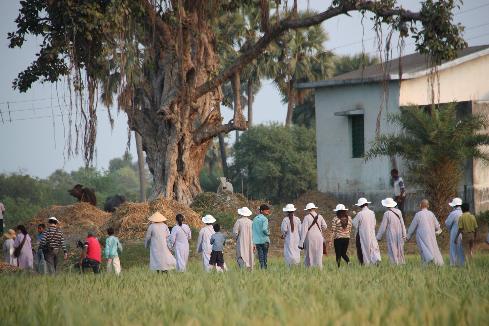 Làng Sujata