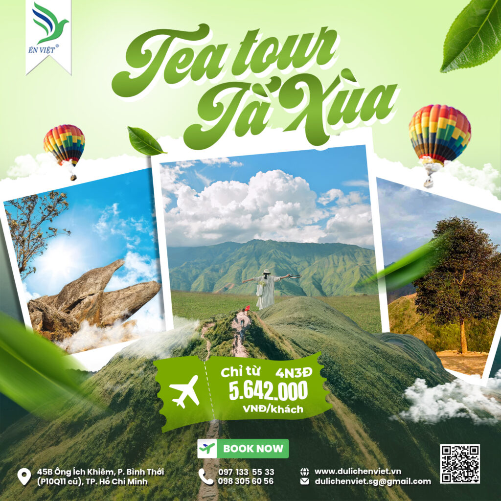 TRẢI NGHIỆM VÙNG CHÈ TÀ XÙA